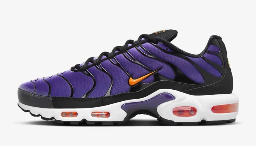 Nike Air Max Plus OG Purple